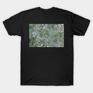 White Baby's Breath (Gypsophila paniculata) flowers T-Shirt